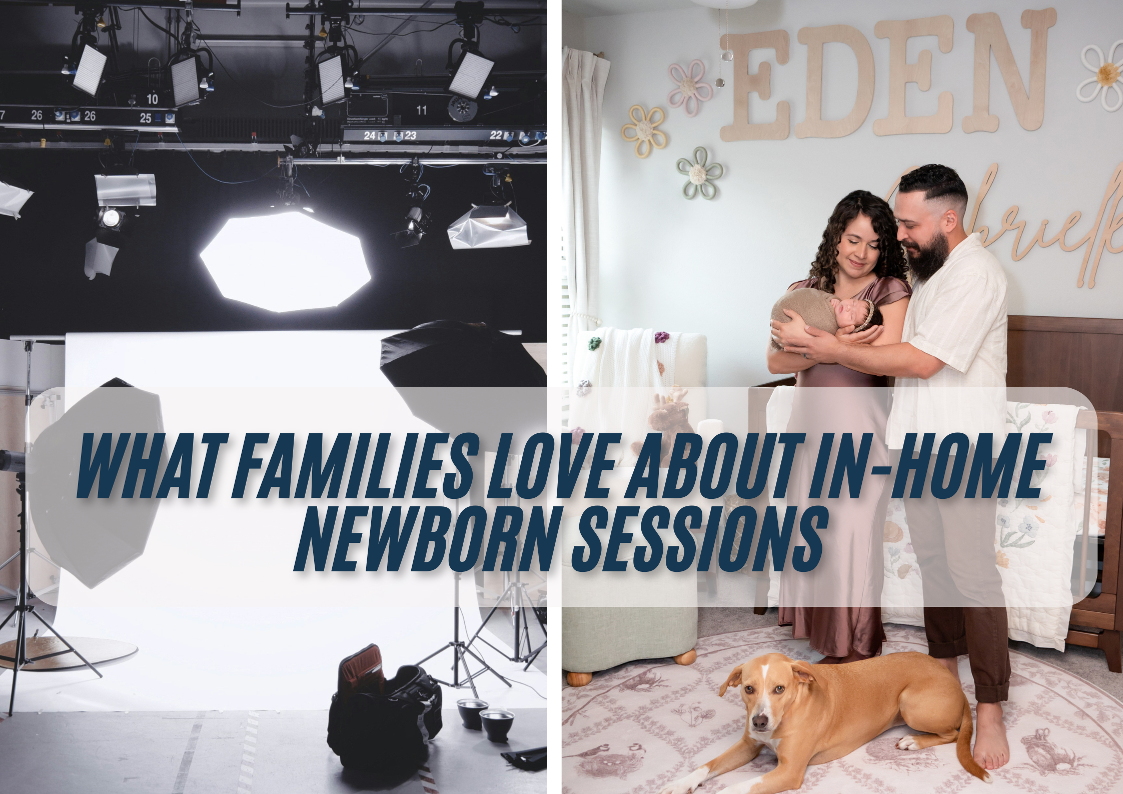 Picture showcasing a studio environment and home environment photoshoot